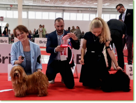 DOG EXPO NITRA